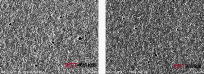 正常样品电极层表面形貌