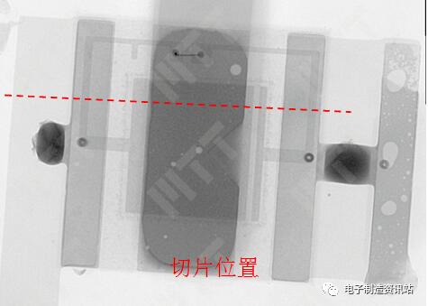 切片位置示意图