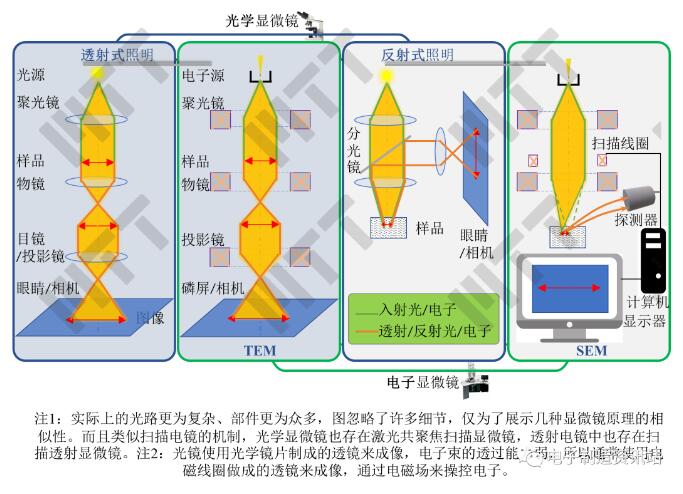 光学显微镜与电子显微镜的工作原理示意图