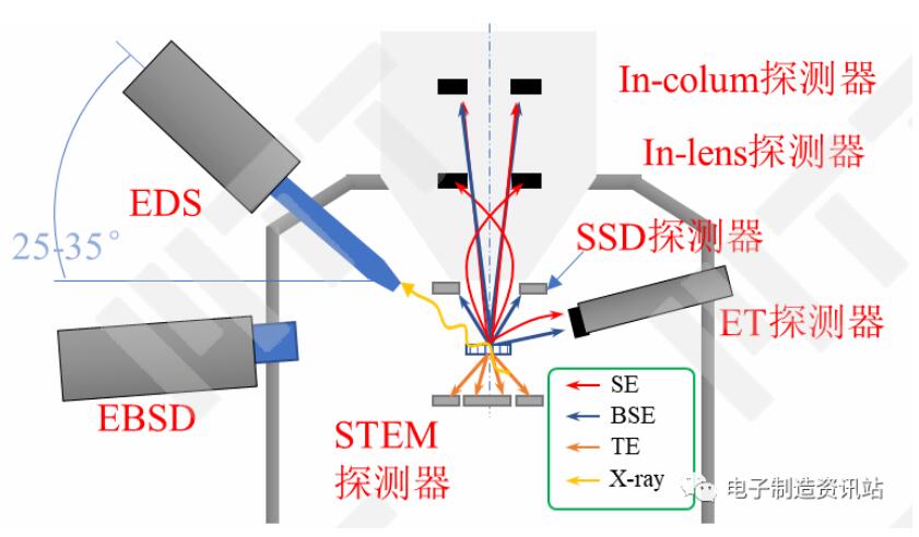 场发射扫描电镜中的探测器配置示意