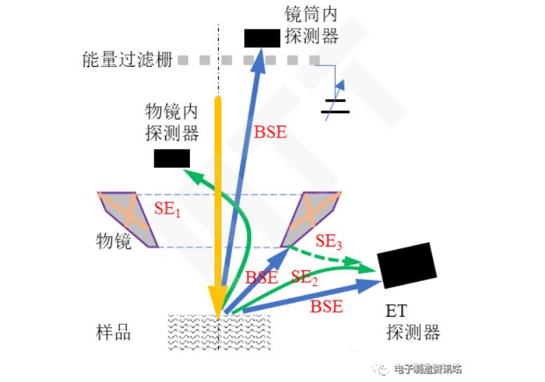 物镜-探测器协同探测信号的示意图