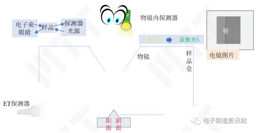 利用光路可逆性演示物镜内探测器对图像的影响