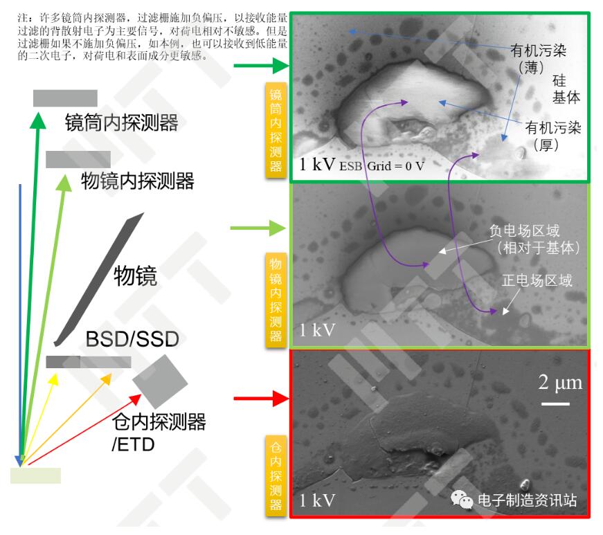 不同探测器对电位/荷电衬度反映的实例