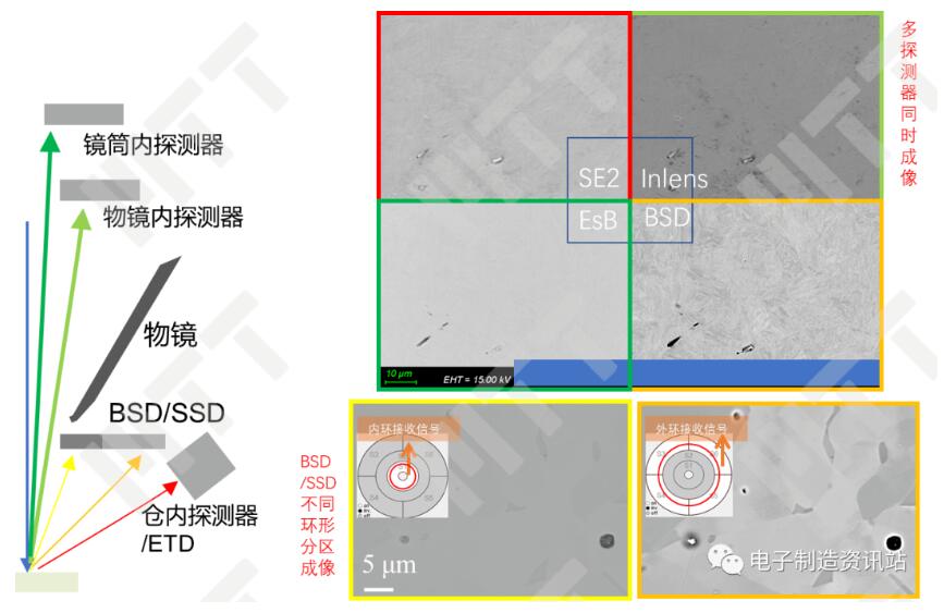 不同探测器对取向衬度反映的实例