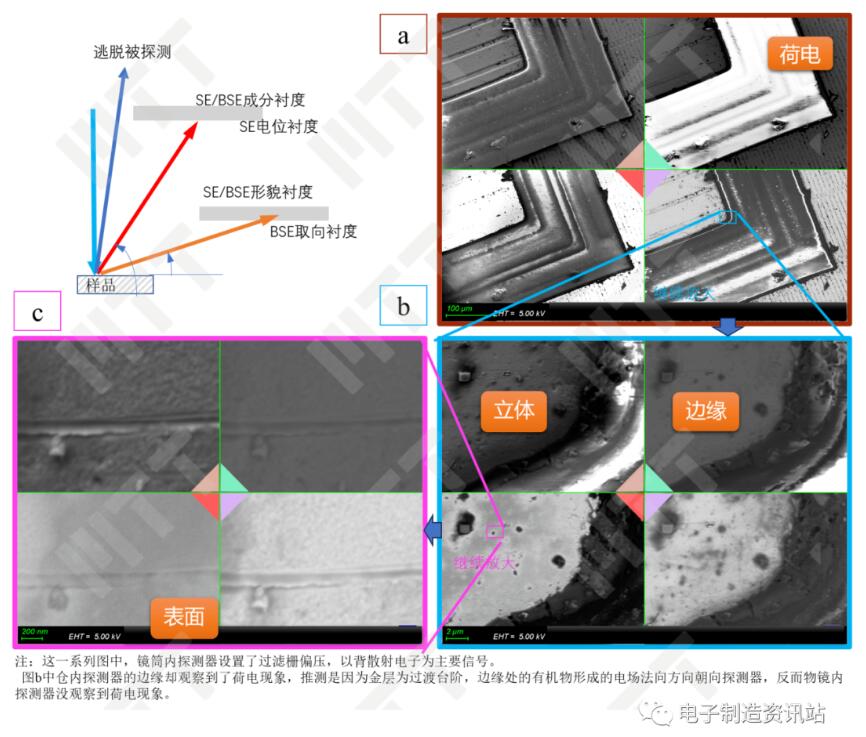 不同探测器在中高放大倍数时的表现