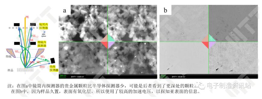 不同探测器在形貌、成分和取向上的表现