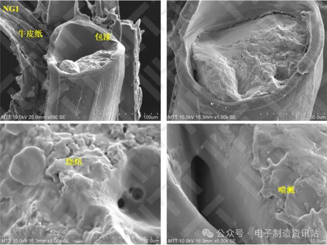 ng1表面以及断口形貌sem图