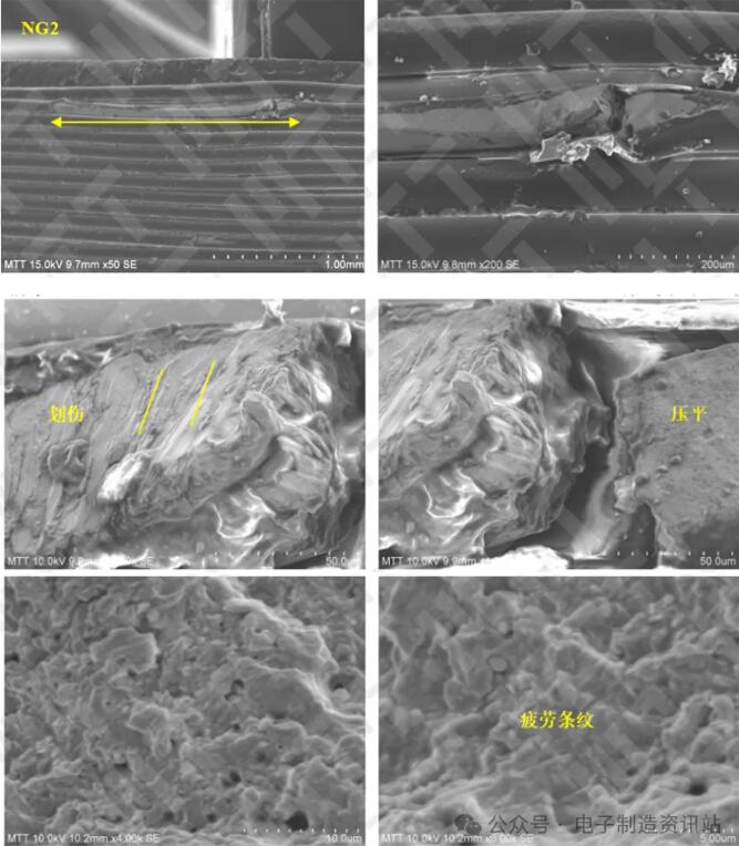 ng2表面以及断口形貌sem图